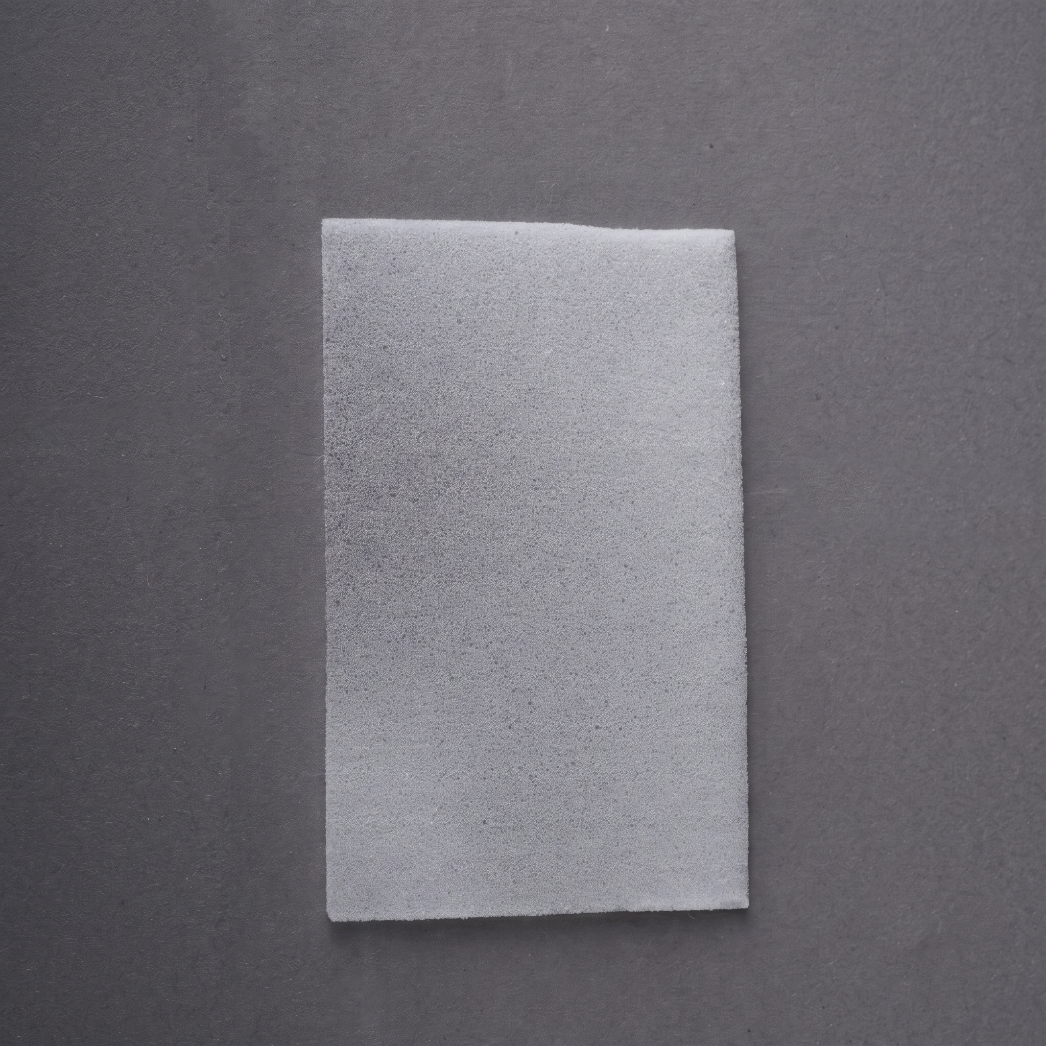 Gelatin Sponges (125mm x 80mm x 10mm)