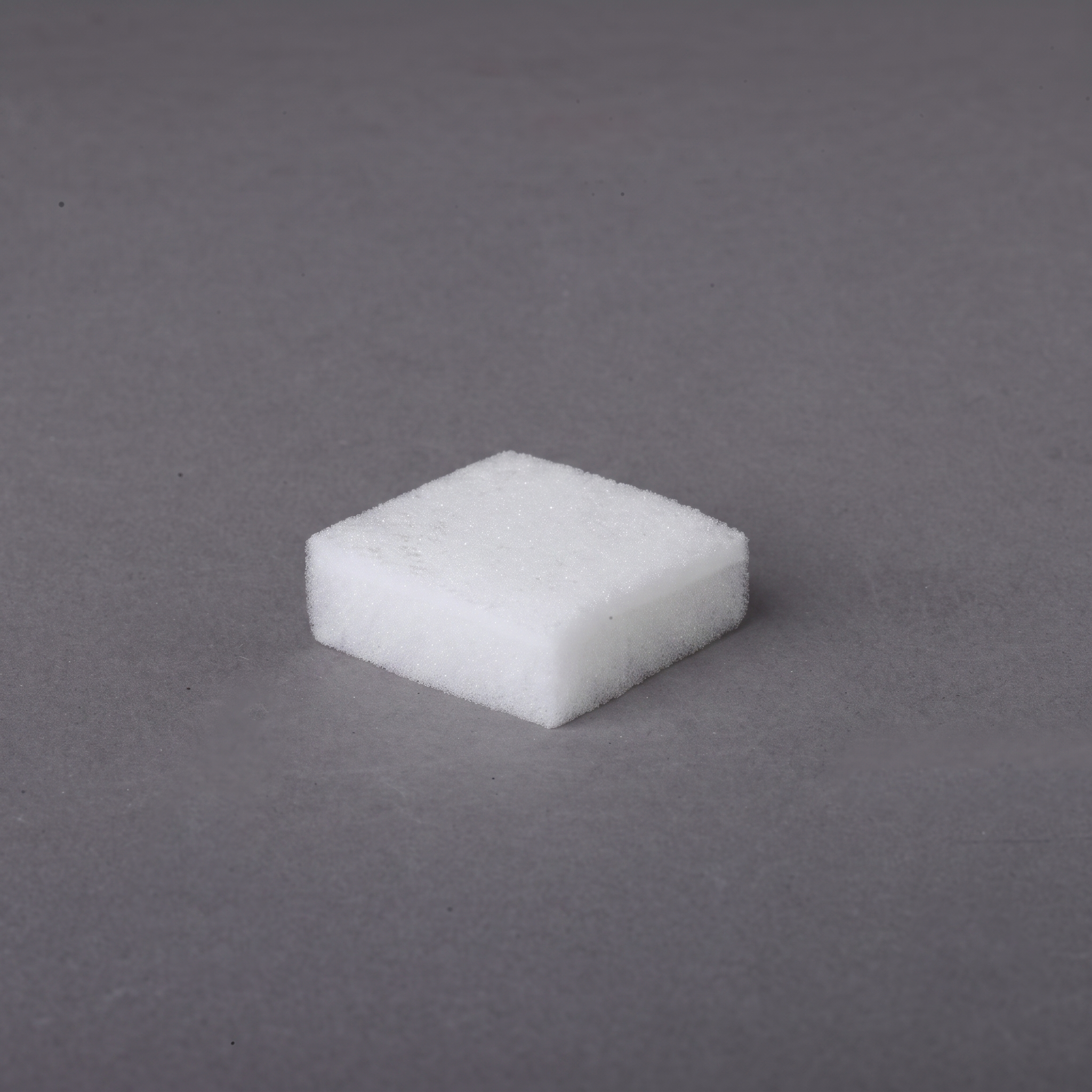 Gelatin Sponge Dial (30mm x 30mm x 10mm)