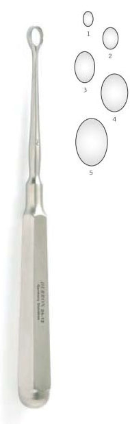 Oval,Piffard,Tip
