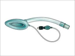 Airways,Laryngeal,Mask